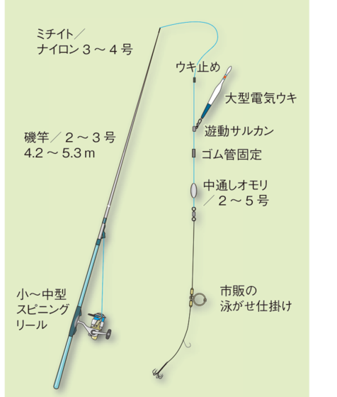 エギング初心者入門講座 アオリイカ エギcom 万人利用のイカ釣りsns