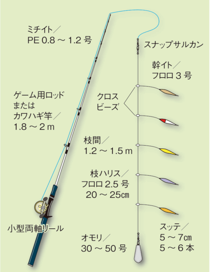 エギング初心者入門講座 ケンサキイカ エギcom 万人利用のイカ釣りsns