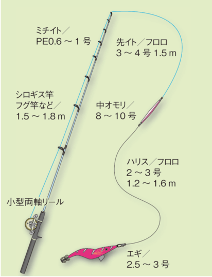 エギング初心者入門講座 コウイカ スミイカ エギcom 万人利用のイカ釣りsns