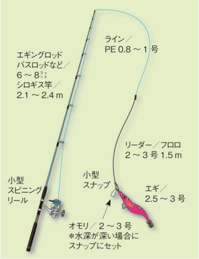 エギング初心者入門講座 コウイカ スミイカ エギcom 万人利用のイカ釣りsns
