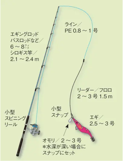 エギング初心者入門講座 コウイカ スミイカ エギcom 万人利用のイカ釣りsns