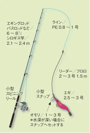 エギング初心者入門講座 シリヤケイカ エギcom 万人利用のイカ釣りsns