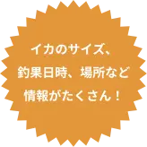 イカのサイズ、釣果日時、場所など情報がたくさん！