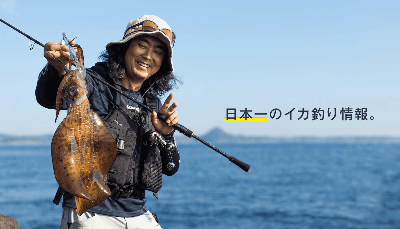 エギcom 日本最大級のイカ釣り情報を誇る万人利用のエギング専門sns
