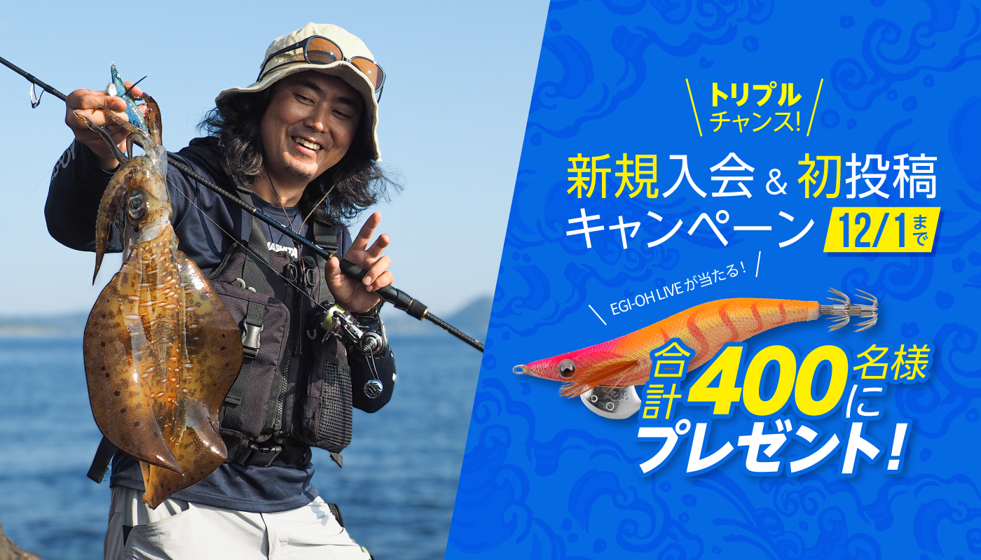 エギcomにかほ釣果情報 日本最大級のイカ釣り情報を誇る万人利用のエギング専門sns