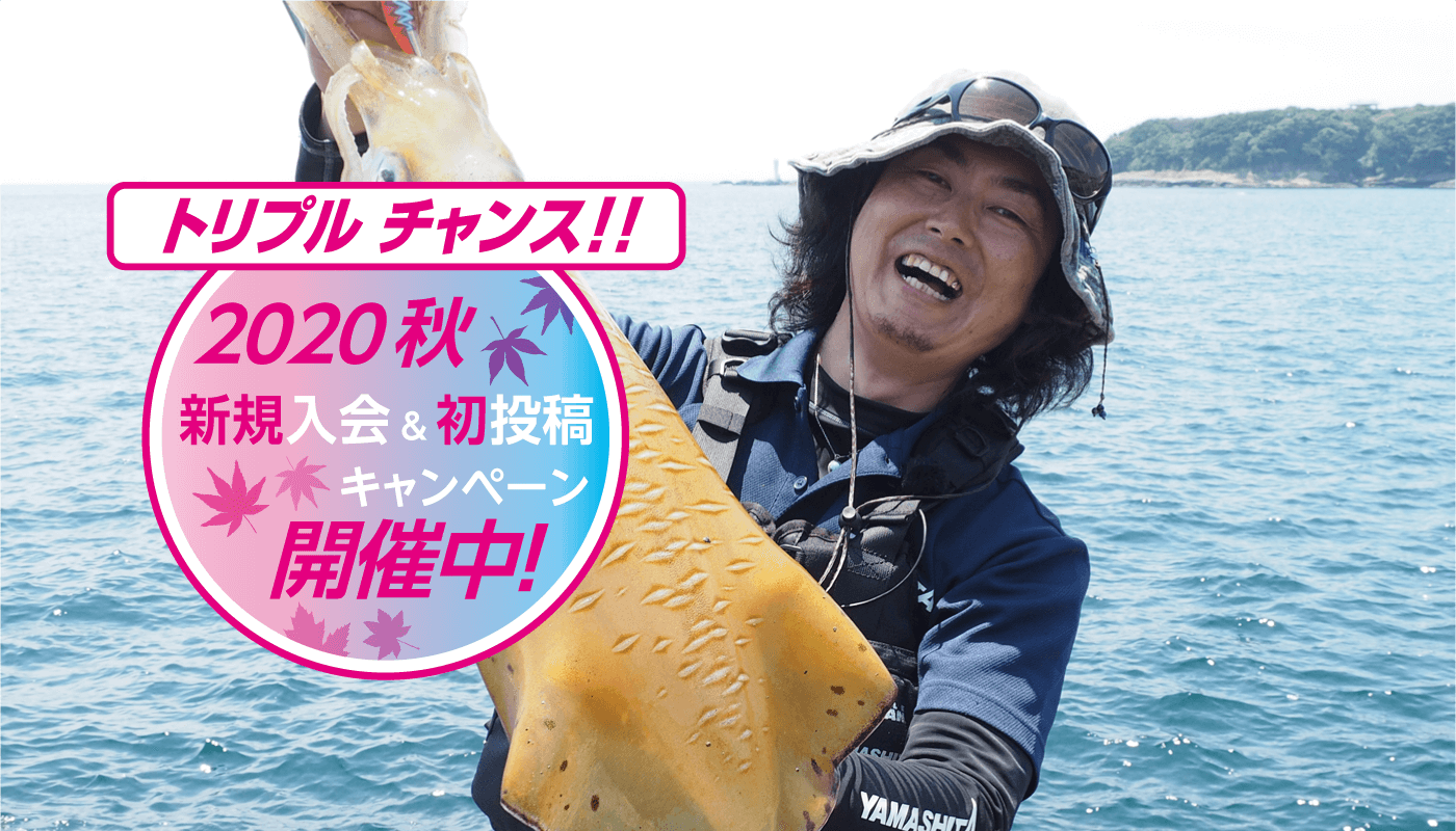 エギcom 13万人のイカ釣りsns エギcom 日本最大クラスの釣果情報 釣り仲間と出会えるエギング専門コミュニティー